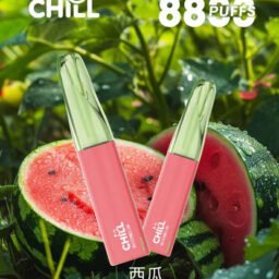 【CHILL 鴨嘴獸】8800口潮流拋棄式 絲滑3%尼古丁鹽滿足感  澎湃 12W 動能輸出 卓越 550mAh 續航表現 豐富熱銷口味 台灣現貨秒發