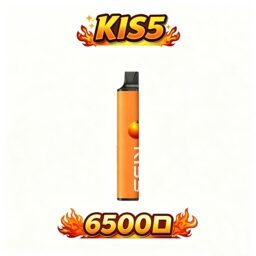KIS5 鎧斯 6500 巔峰級雙芯磁吸黑科技 自由配對綻放百變層次 解鎖專屬奇幻風味體驗 享受絲綢般細膩擊喉感 極致流線工藝手感 台灣現貨